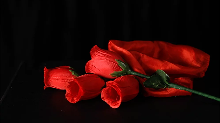 The Rose 2.0 (Red) by Bond Lee & Wenzi Magic Bond Lee bei Deinparadies.ch