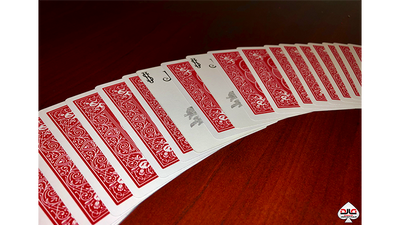 Destined by David Jonathan - Video Download David Schreibman bei Deinparadies.ch