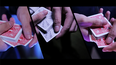 The Vault - Nova by Avi Yap - Video Download Deinparadies.ch bei Deinparadies.ch