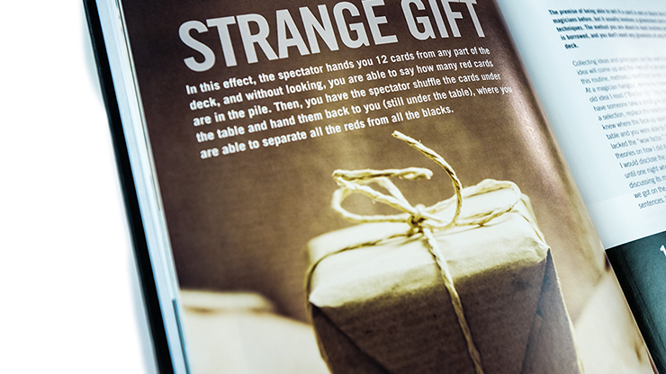 False Anchors Set |Book and Gimmick | Ryan Schlutz Ryan Schlutz bei Deinparadies.ch