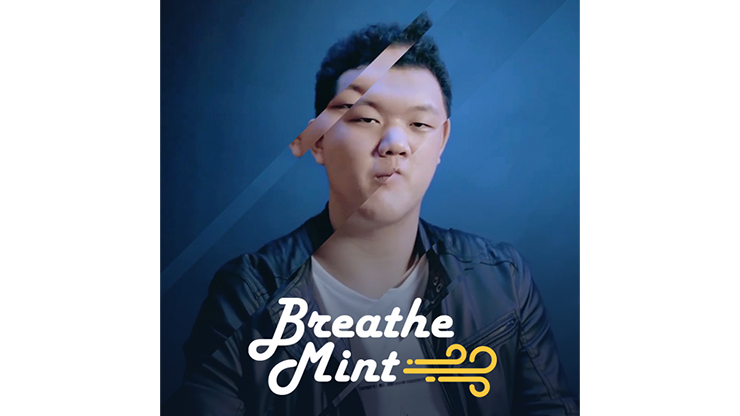 Modern Mind Reading Magic Zee SansMinds Productionz bei Deinparadies.ch