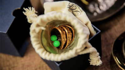 3 Shells by TCC TCC Presents bei Deinparadies.ch