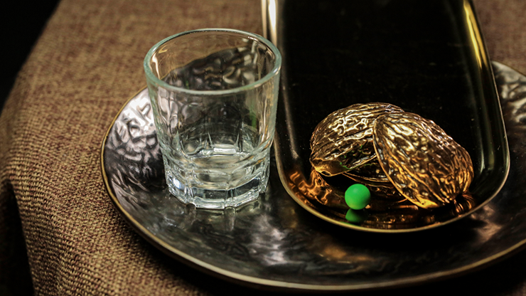 3 Shells by TCC TCC Presents bei Deinparadies.ch