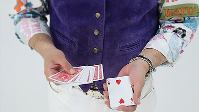 The Expert at the Classic Pass by Akira Fujii G's Factory bei Deinparadies.ch