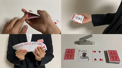 Leon's POP by LEONTHEPARK - Video Download DooHwang bei Deinparadies.ch