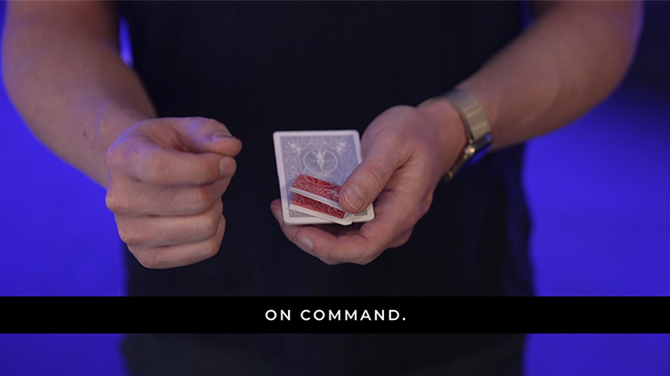 Swarm by Abstract Effects Abstract Effects bei Deinparadies.ch