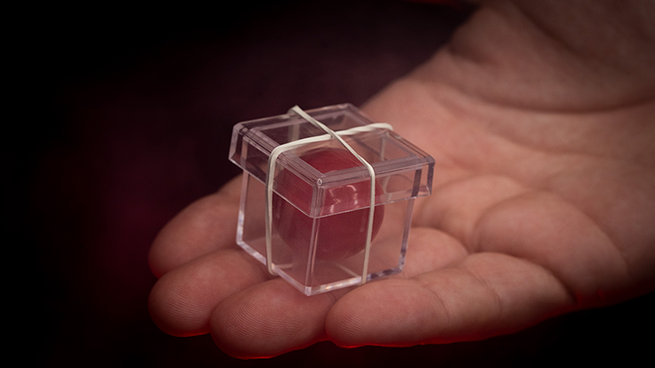 Magic Chamber | Apprentice Magic Murphy's Magic bei Deinparadies.ch