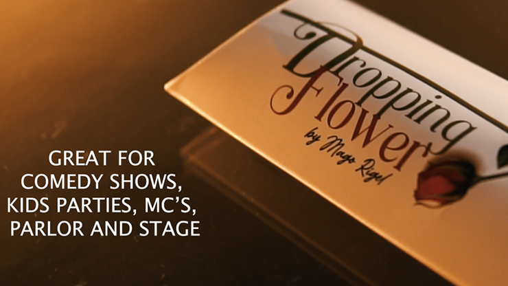 DROPPING FLOWER by Mago Rigel & Twister Magic Twister Magic bei Deinparadies.ch