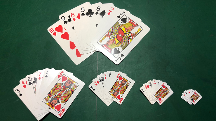 Pro Diminishing Cards | Trevor Duffy Trevor Duffy (V) bei Deinparadies.ch