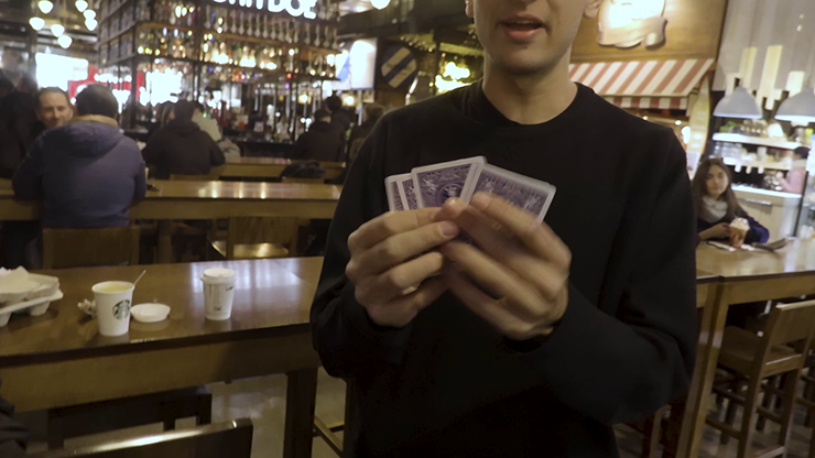 Chetah | Berman Dabat Vernet Magic bei Deinparadies.ch