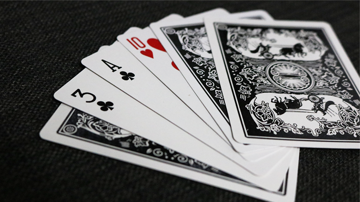 Acrobatic Cards | Two Cards Monte Combo Uday's Magic World bei Deinparadies.ch