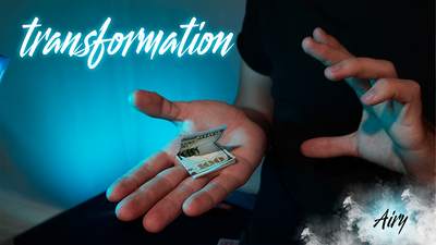 The Vault - Airy by Ilya Melyukhin - Video Download ilya Anatolyevich bei Deinparadies.ch