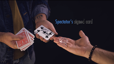 Transparency | Alexis Touchard Deinparadies.ch bei Deinparadies.ch