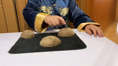 Coconut's Pepegyver by Jose Cruz González - Video Download Jose Cruz González bei Deinparadies.ch