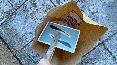 Insta Bag by Rian Lehman - Video Download Rian Lehman bei Deinparadies.ch