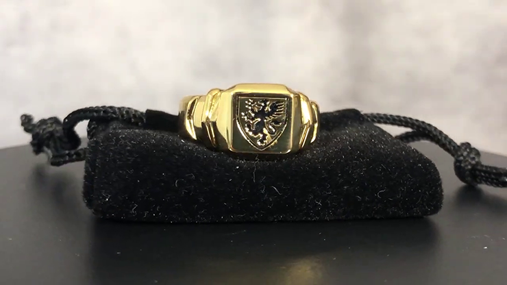 Regal Rings | David Regal Blue Bikes Prods - David Regal bei Deinparadies.ch