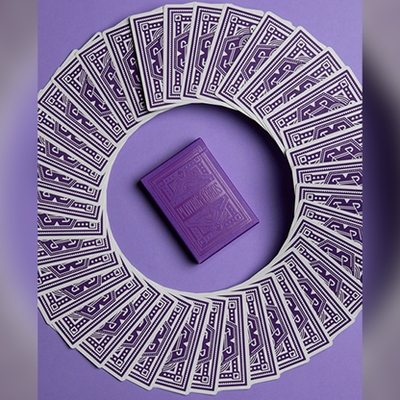 DKNG Playing Cards Purple Wheel Dan and Dave Buck bei Deinparadies.ch