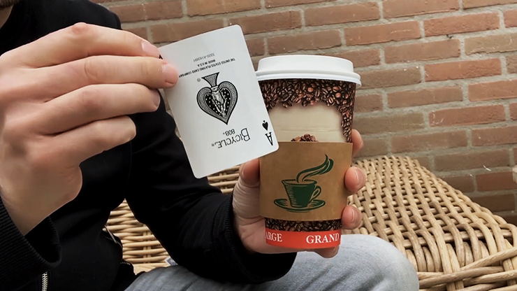 Java | Peter Eggink Empty Hand Productions bei Deinparadies.ch