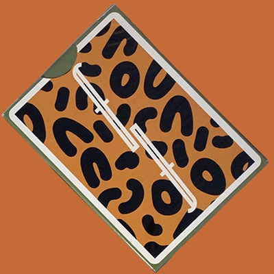 Fontaine Nickelodeon: Thornberries Playing Cards Fontaine Cards bei Deinparadies.ch