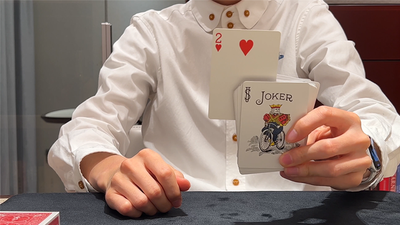 Ultimate Card to Card Case | JT Jia Tianshi bei Deinparadies.ch