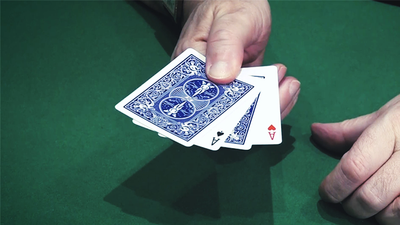 Twisting | Dominique Duvivier Dominique Duvivier bei Deinparadies.ch