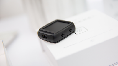 Palm Peeker | Pitata Magic PITATA bei Deinparadies.ch