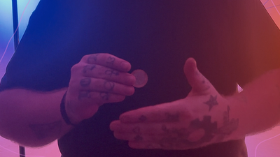 The Hornet | Nicholas Lawrence Deinparadies.ch bei Deinparadies.ch