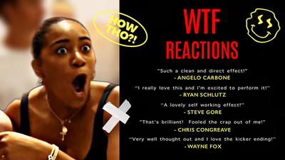 Profile | Nikolas Mavresis and David Jonathan David Schreibman bei Deinparadies.ch