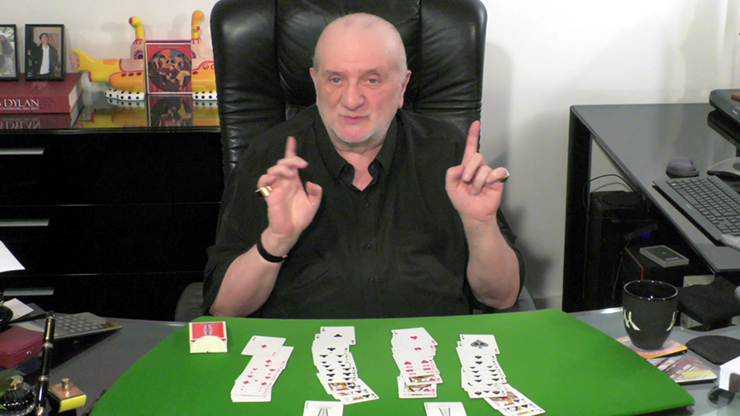 New Wave All Backs | Dominique Duvivier Dominique Duvivier bei Deinparadies.ch