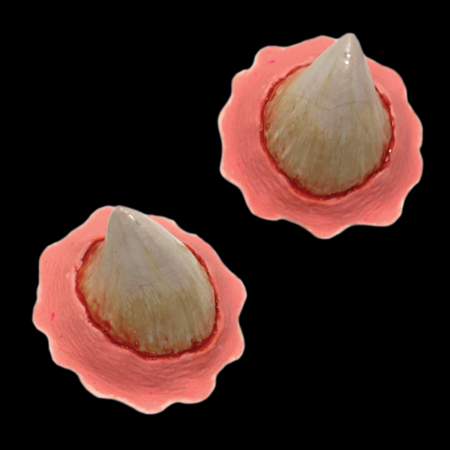 Kleine Hörner Latexapplikation | Tinsley Tinsley Transfers bei Deinparadies.ch