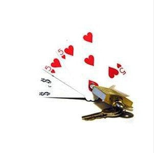 Locked Deck Magic Owl Supplies su Deinparadies.ch