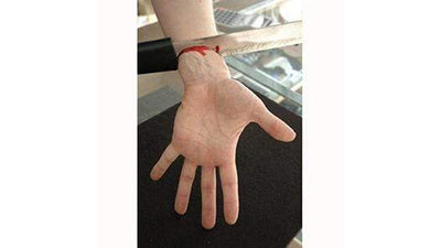 Messer durch Arm Profiversion Deinparadies.ch bei Deinparadies.ch