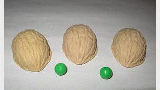 Nussschalen Spiel Plastik Vernet Magic bei Deinparadies.ch