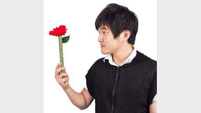 Rose Fantasy by Moon Tae Hyun Magic Owl Supplies bei Deinparadies.ch