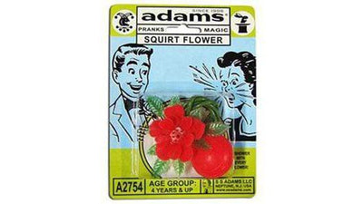 Spritz-Blume | Squirt Flower Magic Makers bei Deinparadies.ch