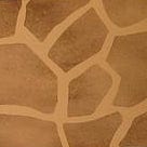 Zigarrenbox Safari | Giraffe-Jonglerie-Deinparadies.ch