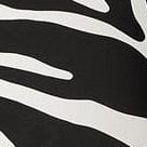 Zigarrenbox Safari | Zebra-Jonglerie-Deinparadies.ch