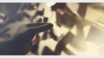 Aberdeen Thread | James Dickson theory11 bei Deinparadies.ch