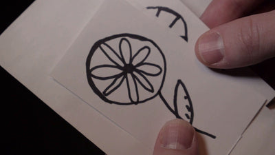 Akkelian Envelopes | Spidey theory11 bei Deinparadies.ch