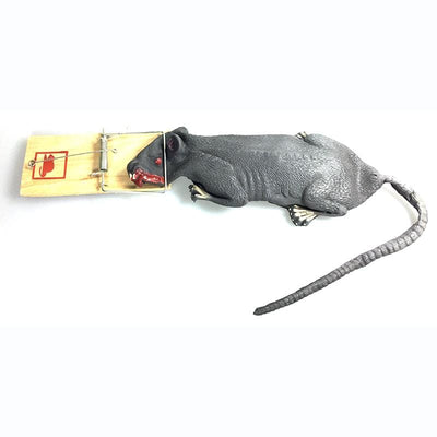 Bewegte Ratte in Falle Erfurth bei Deinparadies.ch