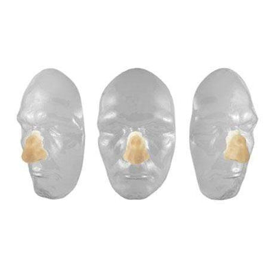 Boxernase Grimas 101 Grimas bei Deinparadies.ch