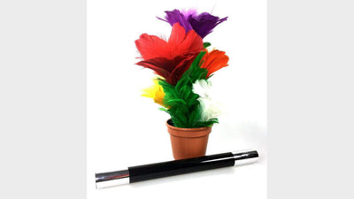 Erscheinender Blumenstrauss Deinparadies.ch bei Deinparadies.ch