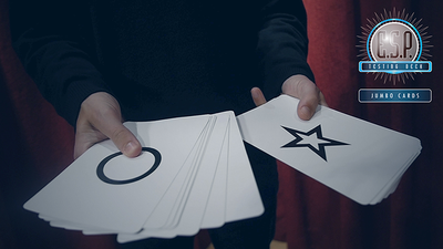 E.S.P. Jumbo Testing Cards by Vernet Magic Vernet Magic bei Deinparadies.ch