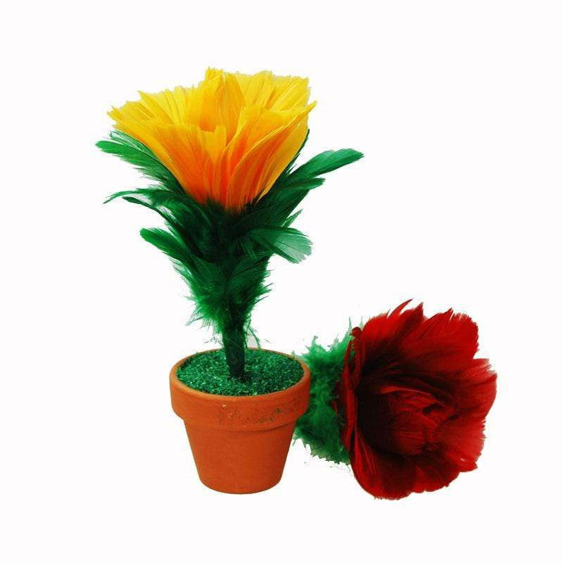 Color-changing flower in a pot Deinparadies.ch at Deinparadies.ch
