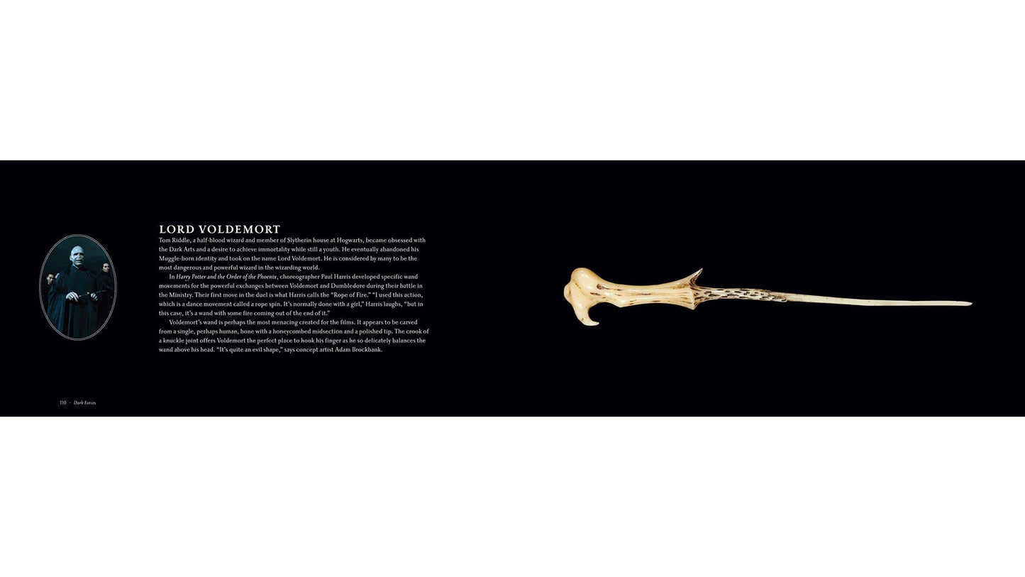 Harry PotterMagic Wand Book Riva bei Deinparadies.ch