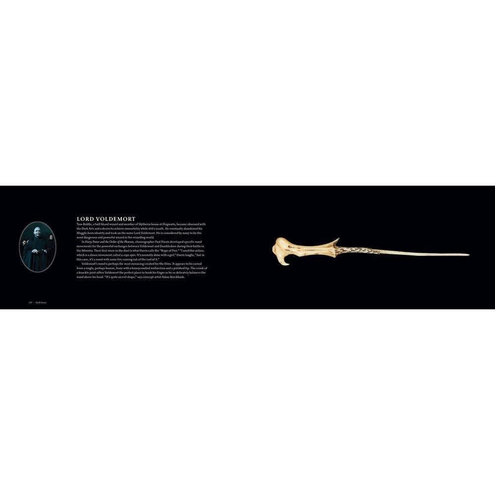 Harry PotterMagic Wand Book Riva bei Deinparadies.ch