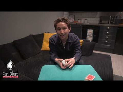 Best in Show di Spooky Nyman