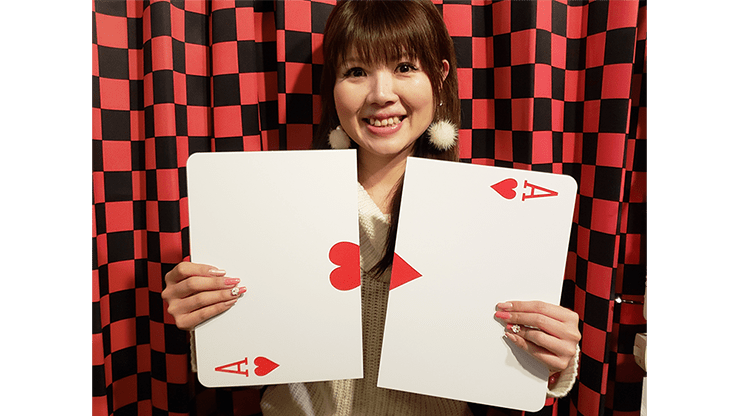 Jumbo Split Card by Syouma Tejinaya at Deinparadies.ch