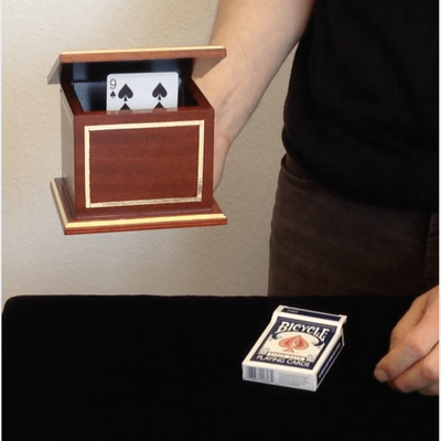 Kartensteiger-Box AL Magic bei Deinparadies.ch