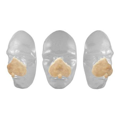 Nagetier-Schnauze Grimas 312 Grimas bei Deinparadies.ch